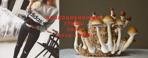 ПСИЛОЦИБИНОВЫЕ ГРИБЫ Кукмор