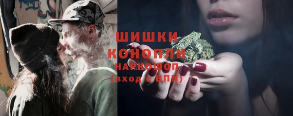 ПСИЛОЦИБИНОВЫЕ ГРИБЫ Кукмор