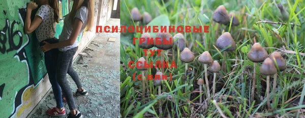 СК Куйбышев
