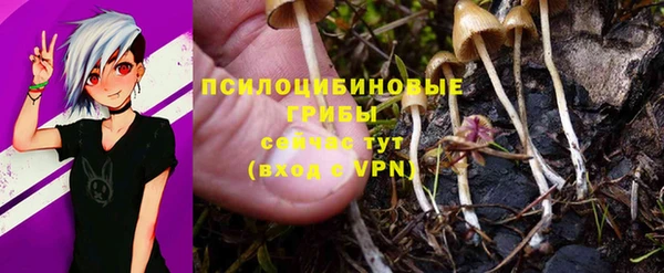 ПСИЛОЦИБИНОВЫЕ ГРИБЫ Кукмор