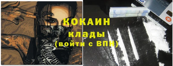 спайс Кулебаки