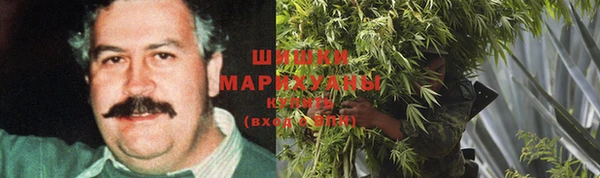 спайс Кулебаки