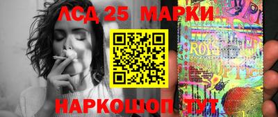 бошки Гатчина