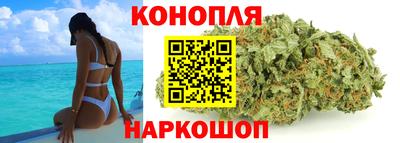 бошки Гатчина