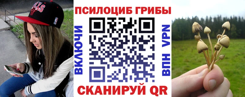 Галлюциногенные грибы ЛСД МЕГА ONION Медногорск