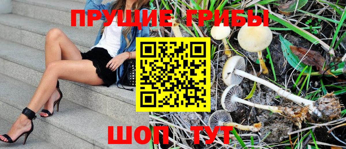 Галлюциногенные грибы MAGIC MUSHROOMS  Галлюциногенные грибы GOLDEN TEACHER  Медногорск  Вход с VPN 